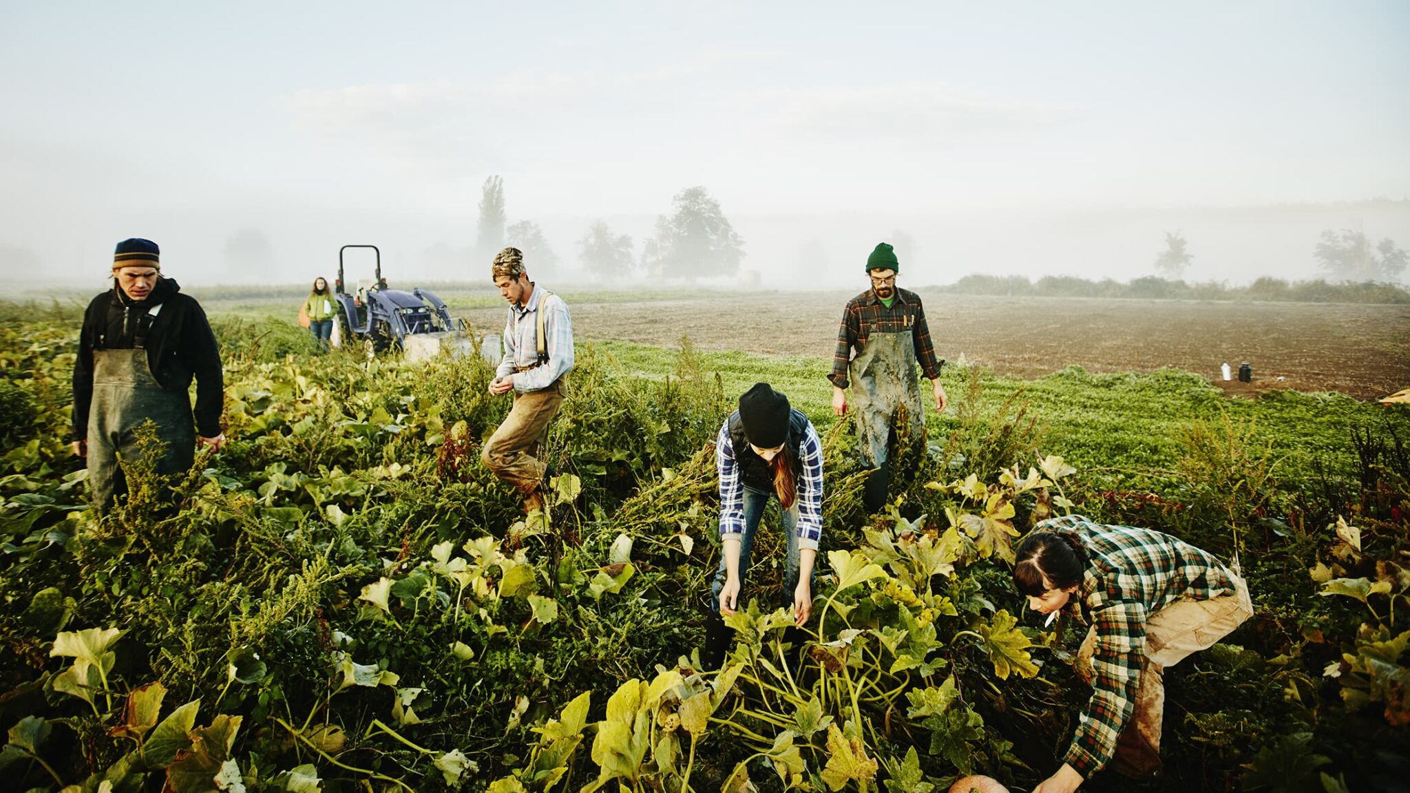 Medidas Urgentes De Apoyo Al Sector Agrario I Novedad Legal