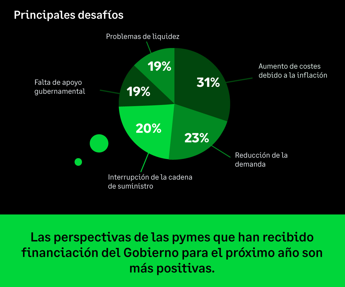 Infografía sobre cómo ha respondido la pyme ante los desafíos